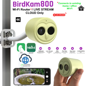 BirdKam800 - 4K LIVE STREAM [CLOUD Only] Smart Bird mini-camera